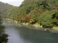 Sagano Bamboo Grove and Arashiyama Walking Tour With Yakatabune Lunch Cruise