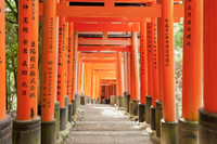 Visite de 3 jours indépendant à Kyoto et Hiroshima, le transport en with Train à grande vitesse Nozomi au départ de Tokyo