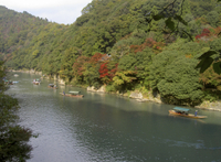 Tour à pied dans la forêt de bambous de Sagano et Arashiyama with déjeuner-croisière à bord d Yakatabune non