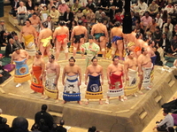 Tournoi de sumo à Tokyo