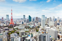 Visita a la Torre de Tokio, ceremonia del té y crucero por el río Sumida Visita a la Torre de Tokio, ceremonia del té y crucero por el río Sumida
