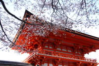 Visite Dans l'après-midi du Sanctuaire de Heian, du Hall de Sanjusangendo et du temple de Kiyomizu à Kyoto au départ d'Osaka