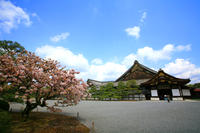Visite de la ville de Kyoto: le Pavillon d'Or, le château de Nijo, le Palais impérial de Kyoto et le Centre d'artisanat
