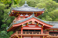 Visite à pied guidée d'Uji with cérémonie du thé au départ de Kyoto