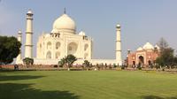 2-Day Tour of Taj Mahal including Vising Elephant and Bear Resource Center