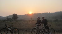 Private Tour: Cycling in Rajasthan's Villages with Lunch at the Grand Palace
