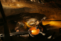 Offre spéciale Cracovie: excursion d'Une demi-journée à la mine de sel de Wieliczka de, et excursion en voiture électrique de Cracovie