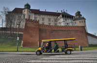 Visite privée: Visite de Cracovie en voiture électrique