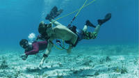 Feestcruise vanuit Punta Cana met Hookah duiken en snorkelen Feestcruise vanuit Punta Cana met Hookah duiken en snorkelen