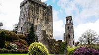 Cobh Shore Excursion: Blarney Castle, Cork City and Kinsale Private Tour