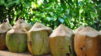 Dominican Republic Cultural Tour with Coconut Factory Visit 