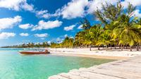 Punta Cana Day Trip: Saona Island by Speedboat and Catamaran