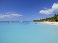 Tagesausflug von Punta Cana: Insel Saona mit dem Schnellboot und Katamaran Tagesausflug von Punta Cana: Insel Saona mit dem Schnellboot und Katamaran