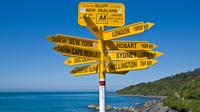 Full-Day Scenic Tour: Catlins Forest from Invercargill