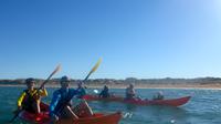  Afternoon Ningaloo Reef Kayaking and Snorkeling Tour