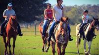 1-hour Casual Trail Ride