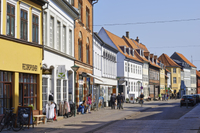 Excursion d'Une journée à Odense Hans Christian Andersen au départ de Copenhague