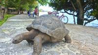 Grand Cayman Private Tour: Western Tour de l'île historique