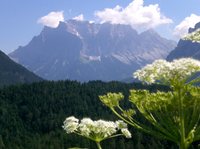 5 jours au départ de Munich à Francfort: Rothenburg, Augsburg, Zugspitze