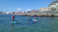 Cascais Stand-Up Paddleboard Lesson and Cruise