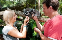 Visite du zoo tropical de Cairns