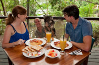 Zoo tropical de Cairns: visite matinale et petit-déjeuner