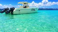 Private Boat Charter to British Virgin Islands from St John