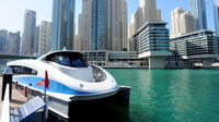 Day City Tour of Dubai's Modern Visions 