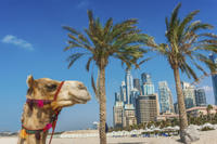 Dubai Super Saver: City Sightseeing Tour and Desert Safari