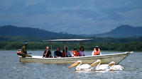 Full-Day Lake Naivasha Tour from Nairobi