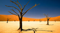 3-Day Namibia Desert Tour from Windhoek