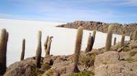 Private Day Trip Salar de Uyuni