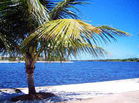 Excursion en goélette à Ilha Frades et Itaparica au départ de Salvador