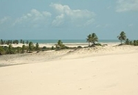 Mangue Seco de Salvador