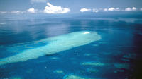 Great Barrier Reef Scenic Flight from Cairns Including Green Island, Oyster Reef and Heart Reef