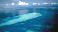 Vol panoramique au-dessus de la Grande barrière de corail depuis Cairns avec Green Island, Oyster Reef et Heart Reef image 1 Vol panoramique au-dessus de la Grande barrière de corail depuis Cairns avec Green Island, Oyster Reef et Heart Reef image 1