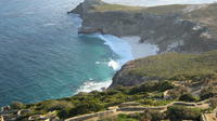 Peninsula Tour - Half day from Cape Town