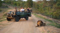 Safari Tour from Cape Town Including Lunch 