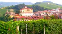 Full-Day Langhe Wine Tour