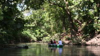 Canoe Experience at Río Frio and Caño Negro