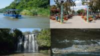 Palo Verde National Park and Liberia Combo Tour