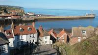 Full-Day North Yorkshire Moors and Whitby in Winter from York