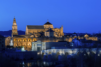 Excursion d'une nuit à Cordoue Avec visite de la ville