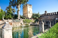 Recorrido a pie por Córdoba con experiencia opcional en los baños árabes