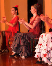 Spectacle de flamenco à Tablao Flamenco El Arenal à Séville - Séville - 