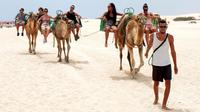 Eco Buggy et Dunas Camel Tour de