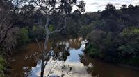 Melbourne Walking Tour by the Yarra River