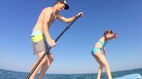 Outer Banks Paddleboard Eco Tour