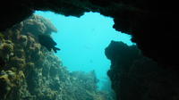 Half-Day Abrolhos Islands Shipwreck Air and Land Tour from Geraldton
