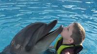 Swimming with Dolphins in Hurghada